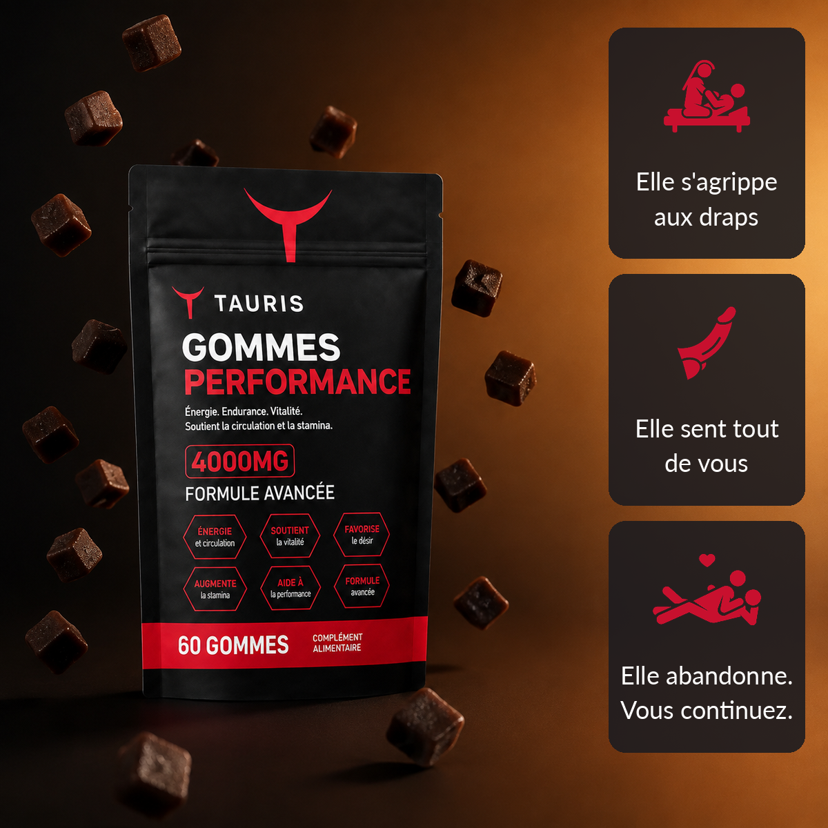TAURIS Gommes Performance