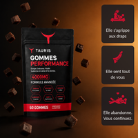 TAURIS Gommes Performance — ce que ça change